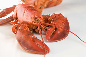 Lobster Roll